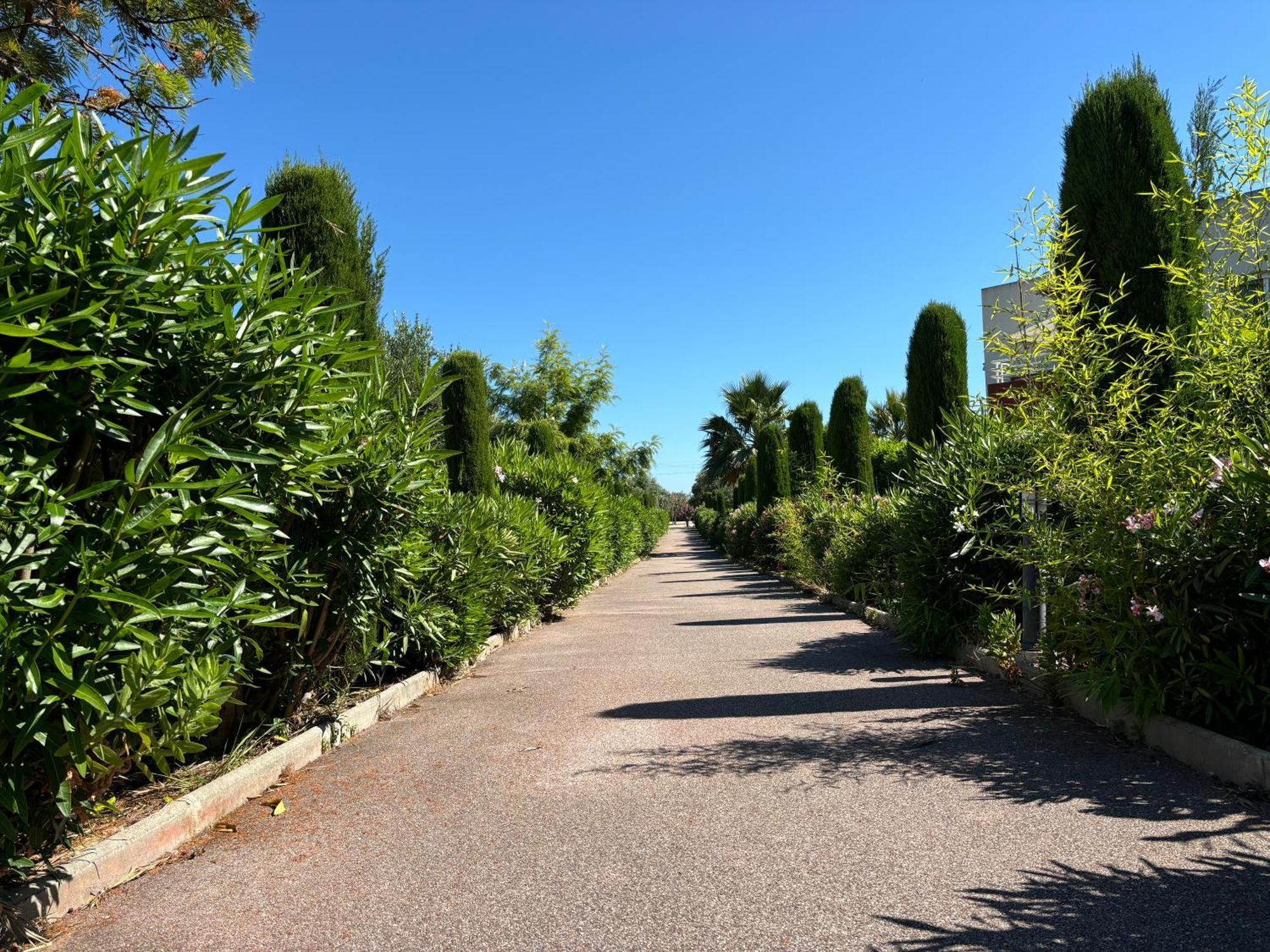 Beachside Apartment With Pool & Garden In Juan Les Pins Antibes Eksteriør bilde