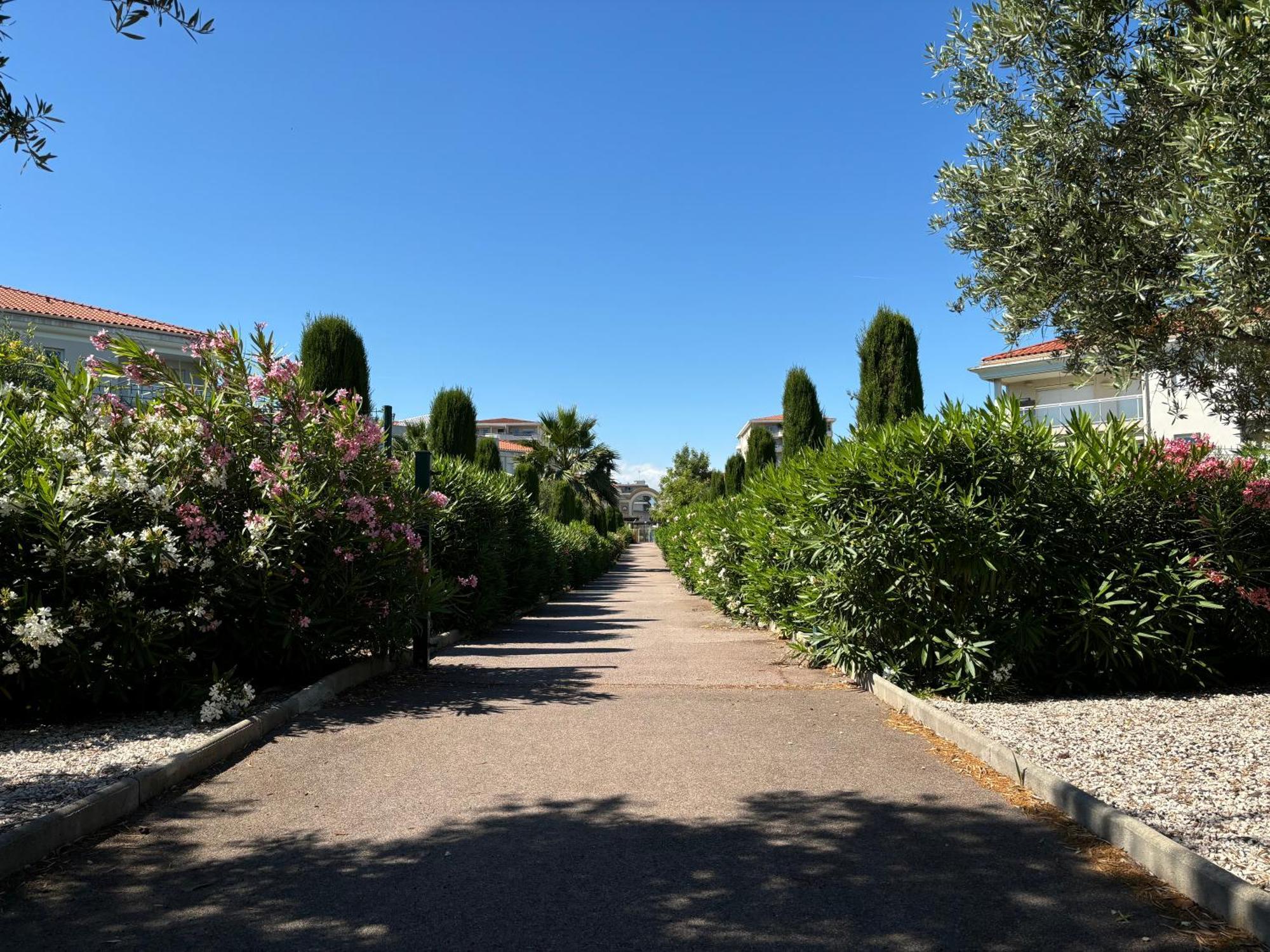 Beachside Apartment With Pool & Garden In Juan Les Pins Antibes Eksteriør bilde