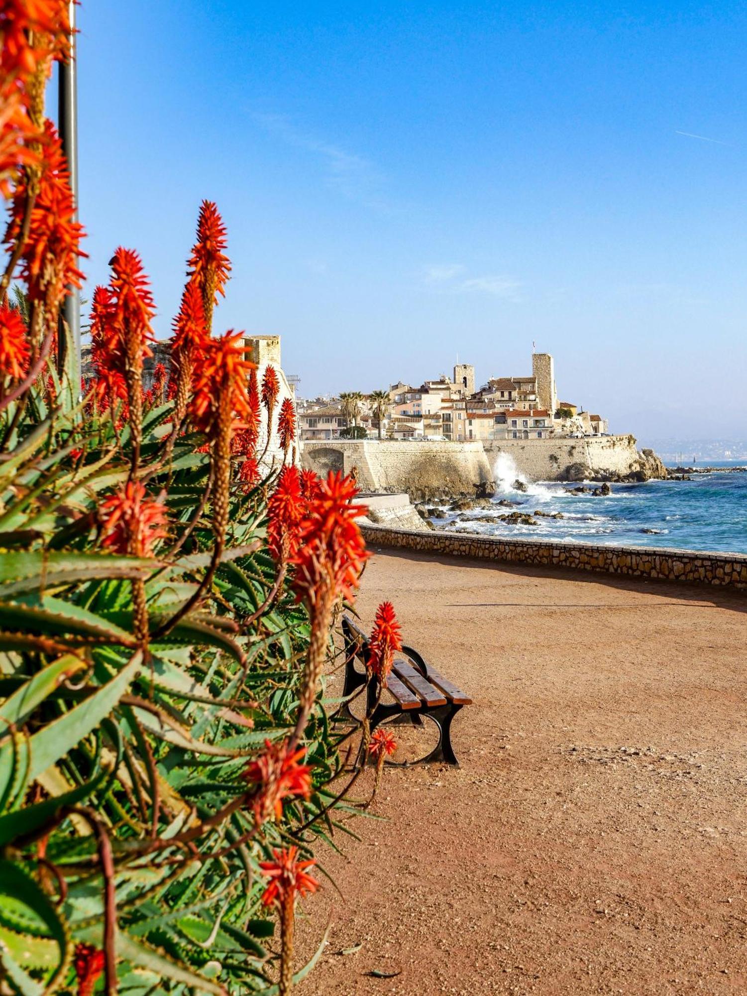 Beachside Apartment With Pool & Garden In Juan Les Pins Antibes Eksteriør bilde